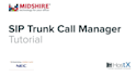 sip trunk and 3cx dialer for inbound and outbound call