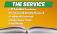 offer accurate translations from english to irish