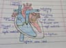 create biology diagrams and educational charts