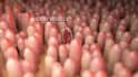 create scientific medical animation, molecular moa and biotech pharma video