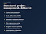 manage your IT or telecom project as a senior program manager
