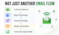 set up high converting klaviyo email flows for shopify
