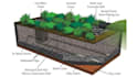 design swimming pool design, landscape, grading and drainage plans designs