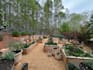 create a custom vegetable garden planting plan