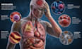 write accurate medical  health