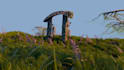 create a cinematic 3d environment in blender