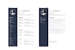 create a professional resume CV design in canva