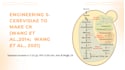 design professional biotech and pharma slides