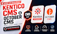 kentico cms development, october cms themes, kentico xperience, lavarel october