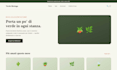 design and develop a professional website