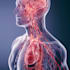 create medical and scientific illustrations