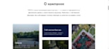 build your wordpress or tilda business website