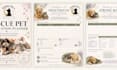create custom printable PDF guides workbooks and resources