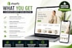 build a professional shopify store