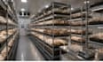 design 3d mushroom farm, growing room facility
