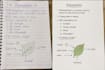 convert handwritten notes into a clean and professional PDF