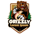 design modern creative bear logo