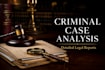 write a detailed criminal case analysis report for your matter