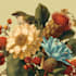 draw fineline botanical delicate flowers