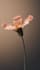 create a realistic 3d flower animation plant animation