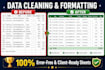 do professional data entries and much more
