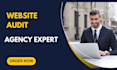 audit your ecommerce store and provide solutions