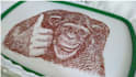 do embroidery digitizing logo into dst pes emb