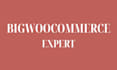 design your ecommerce website with bigcommerce