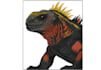 draw custom digital illustrations and sticker designs