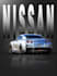 design a proffessional promotional poster or advertisements