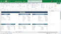 clean and analyze your excel data