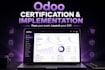 coach you for odoo certification and handle your odoo implementation