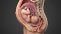 create ai 3d medical animation, anatomy explainer surgical video