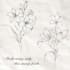 create lily procreate brush stamps for digital art