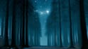 create 3d game environments and game assets in blender