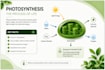 create engaging science and biology powerpoint presentation