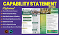 design a professional and modern capability statement