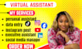 personal social media assistant executive virtual assistant instagram carousel