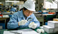 verify whether this company is reliable
