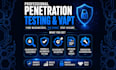 do vulnerability assessment and penetration testing with a professional report