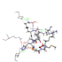 perform molecular docking and interaction analysis
