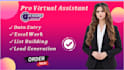 do VA for excel data entry and web research