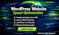 do wordpress speed optimization for google page speed insights