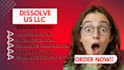 dissolve your US llc, file llc dissolution and close ein