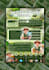 create professional canva designs, infographics and presentations