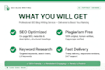 write SEO blog articles