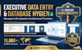 do expert data entry and spreadsheets with architectural precision