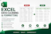 do excel data entry, data cleaning, and duplicate removal