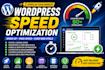 peed up your wordpress website and fix pagespeed performance issues