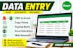 do accurate data entry, copy paste and PDF to excel